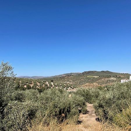 Lafrenchtouch - Escapada Rural En Una Coqueta Casa Villanueva de Tapia Esterno foto