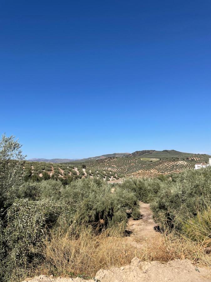 Lafrenchtouch - Escapada Rural En Una Coqueta Casa Villanueva de Tapia Esterno foto